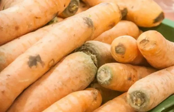 Вот так подкармливайте морковь с 1 по 10 августа, и урожай будет в 5 раз больше, чем у соседей